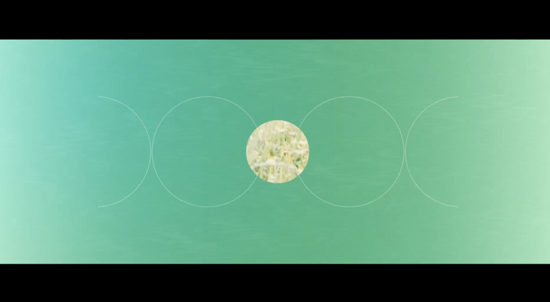 06 전음 배경영상 gallery 2